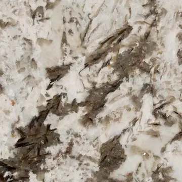 Bianco Antico granite slab