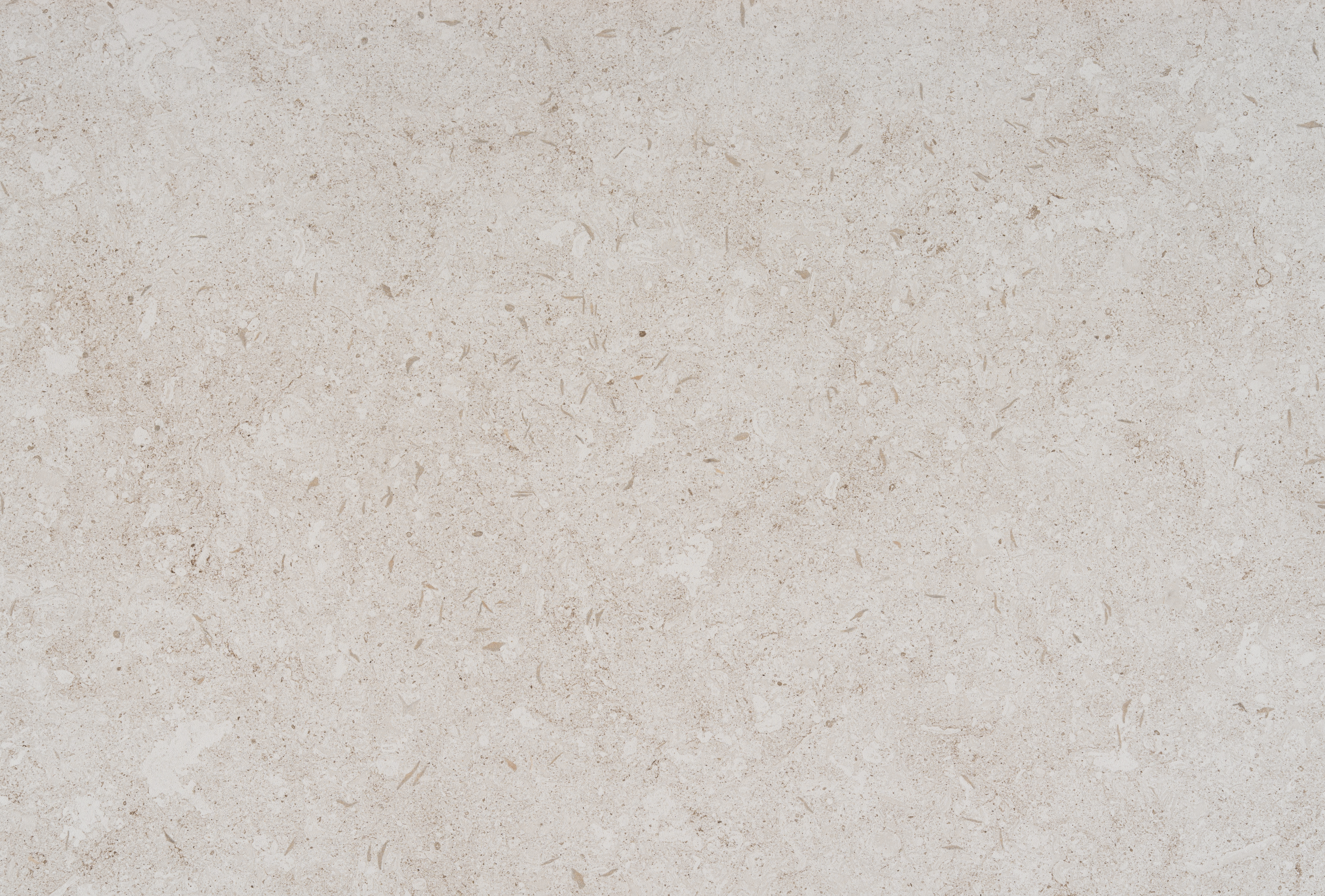 Dekton Nebbia countertop