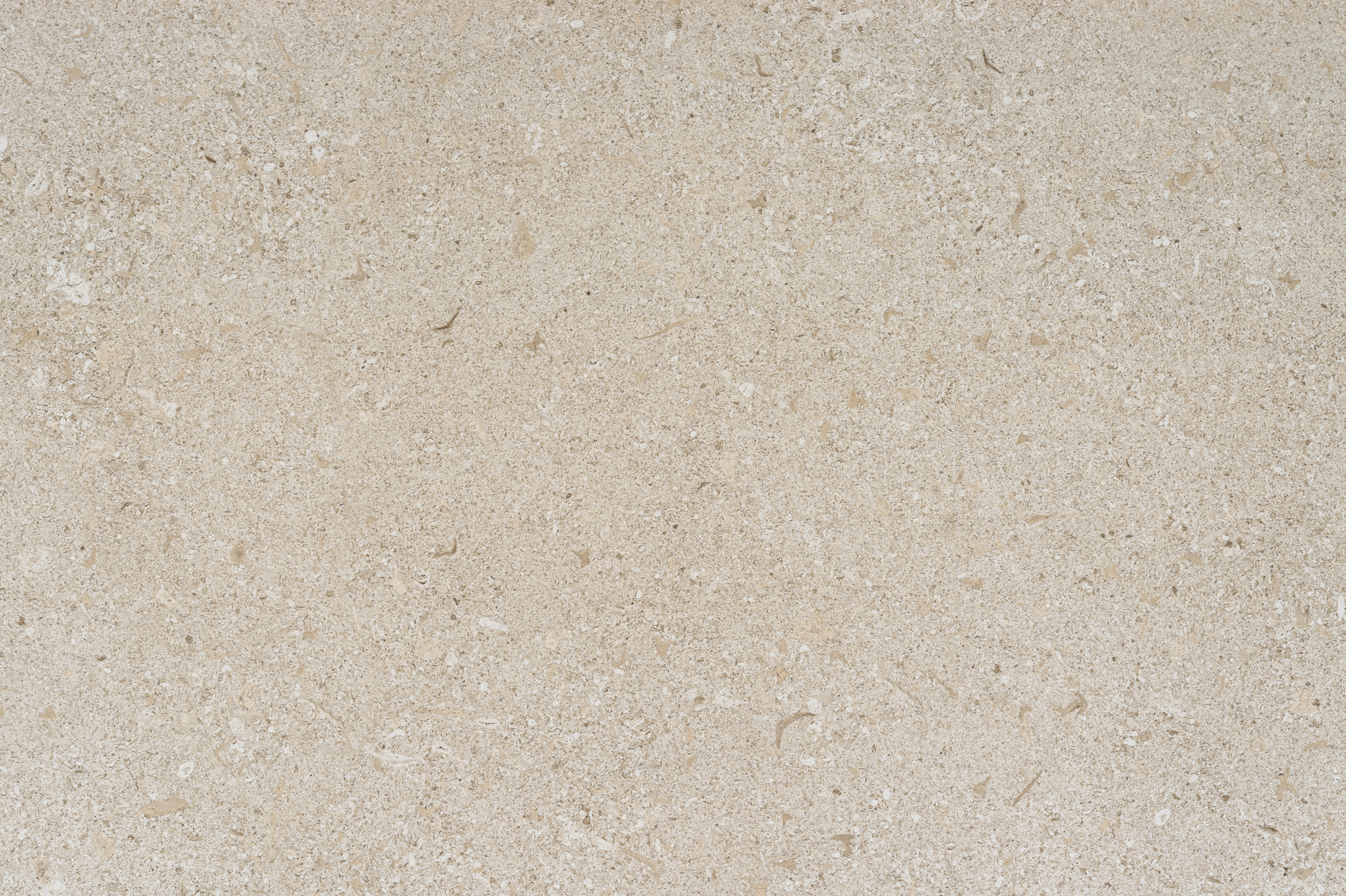 Dekton Avorio countertop