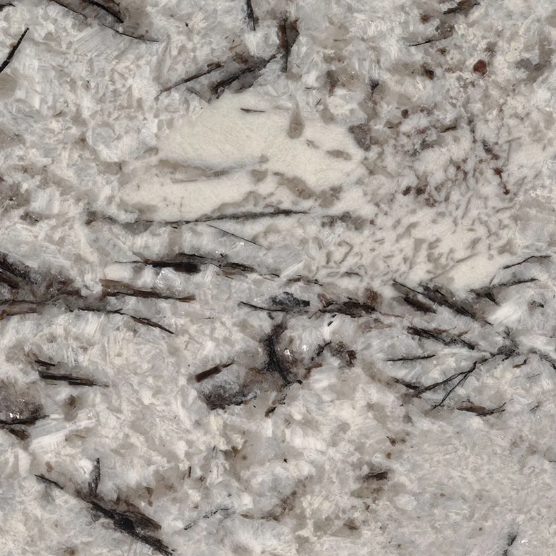 Delicatus White