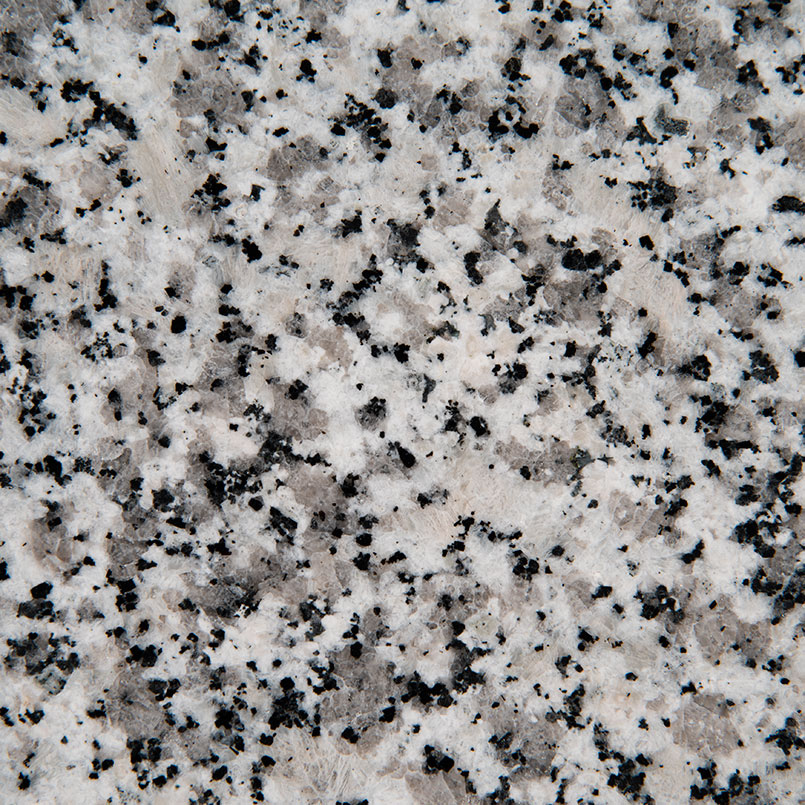 Luna Pearl countertop