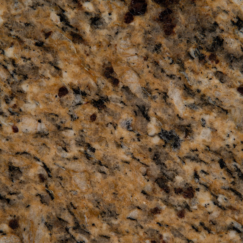 New Venetian Gold countertop