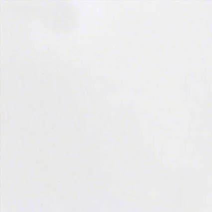 Elegant White