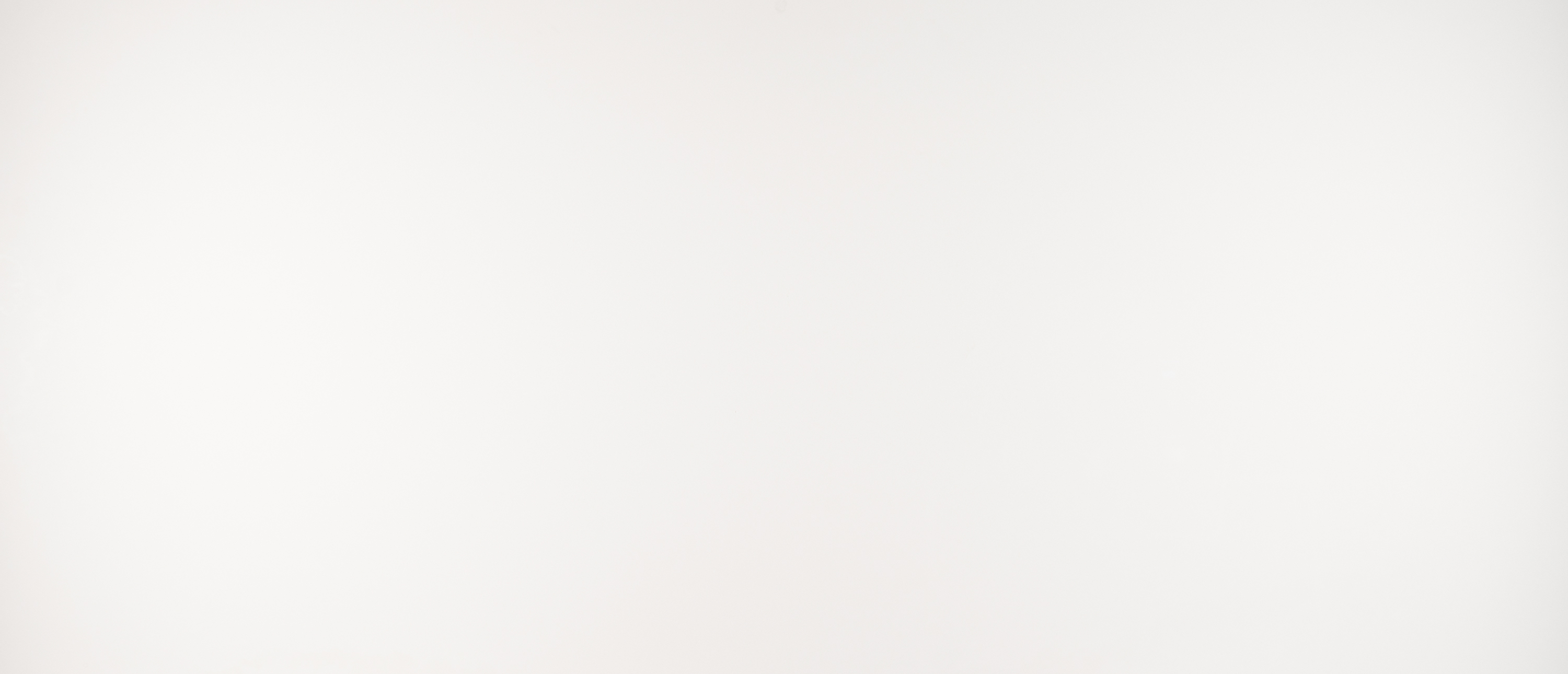 Arctic White countertop