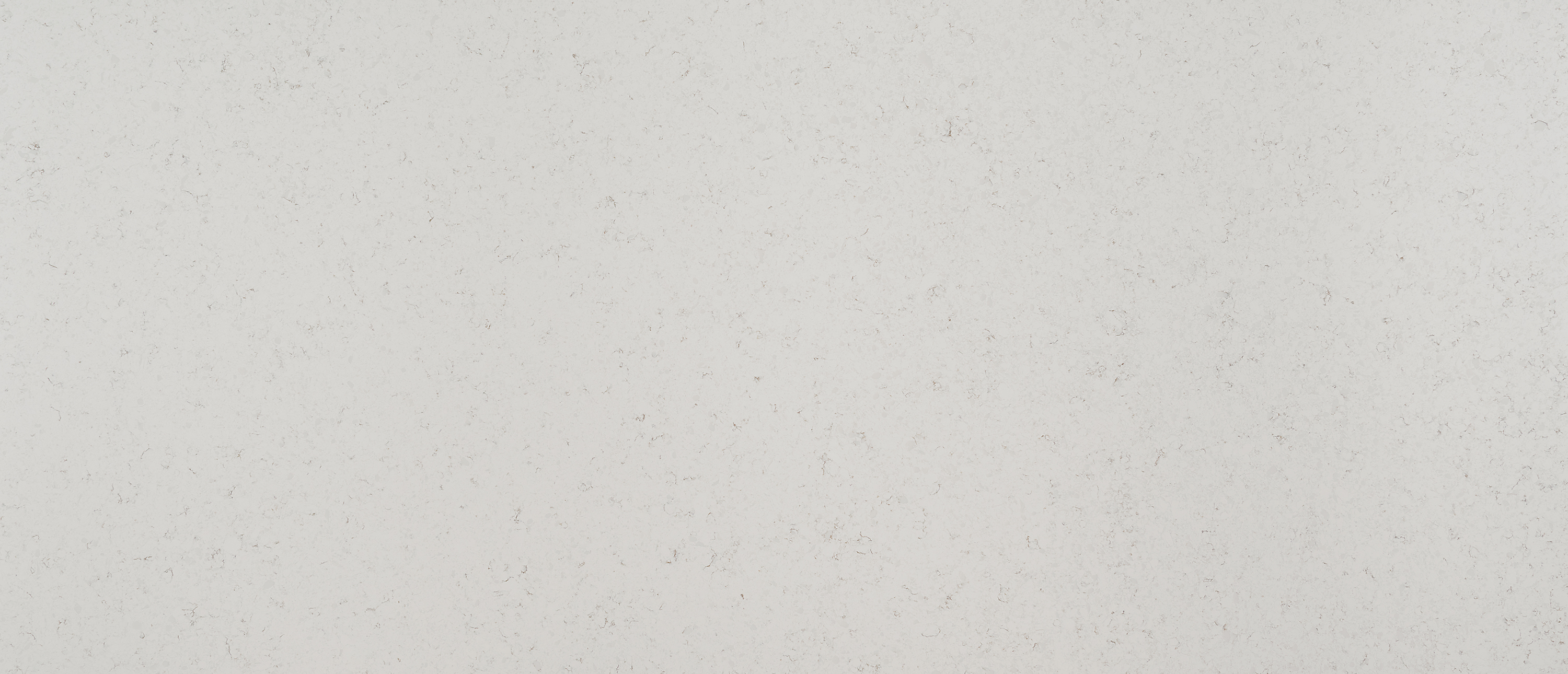 Blanca Statuarietto countertop