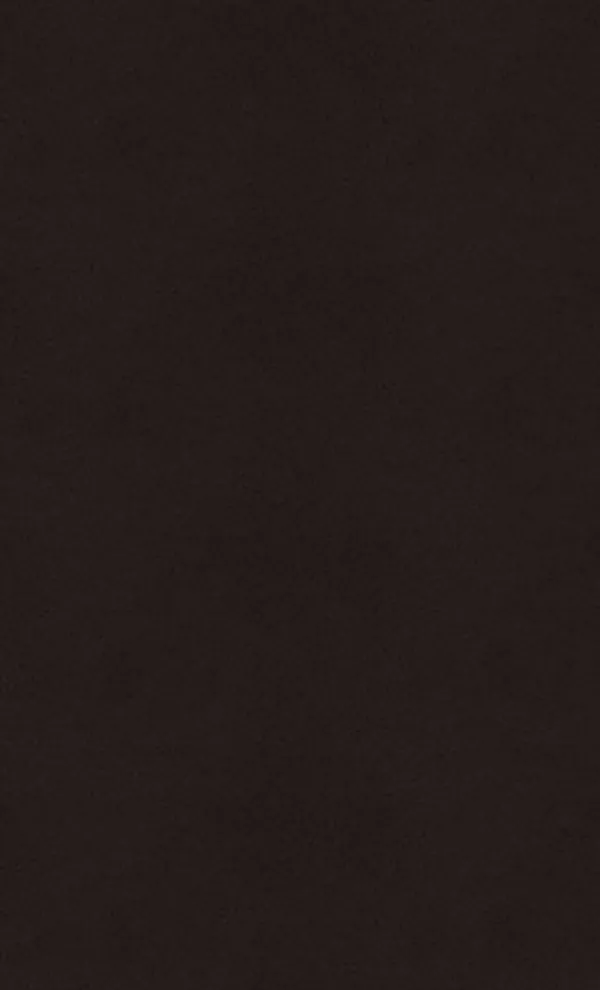 Caesarstone 3100 Jet Black quartz
