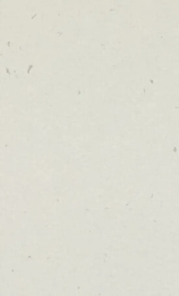 Caesarstone 4141 Misty Carrera quartz