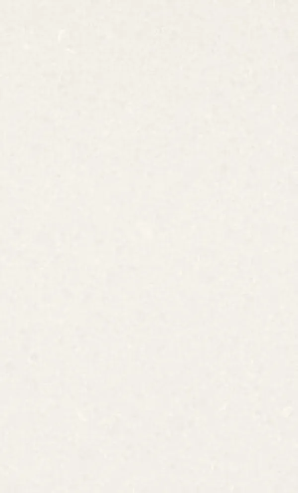 Caesarstone 4600 Organic White quartz