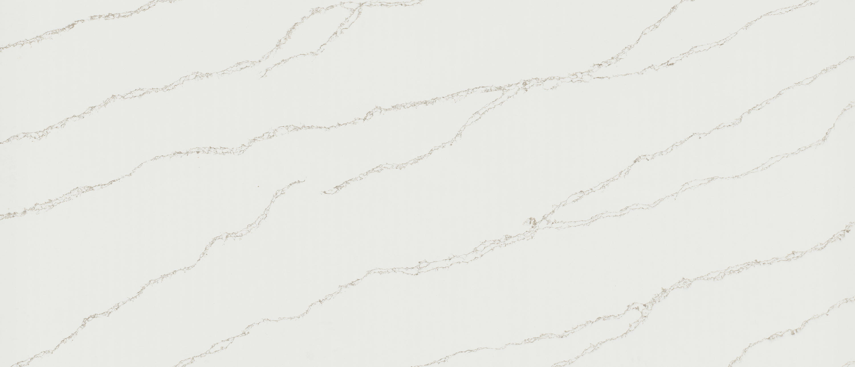 Calacatta Arno countertop