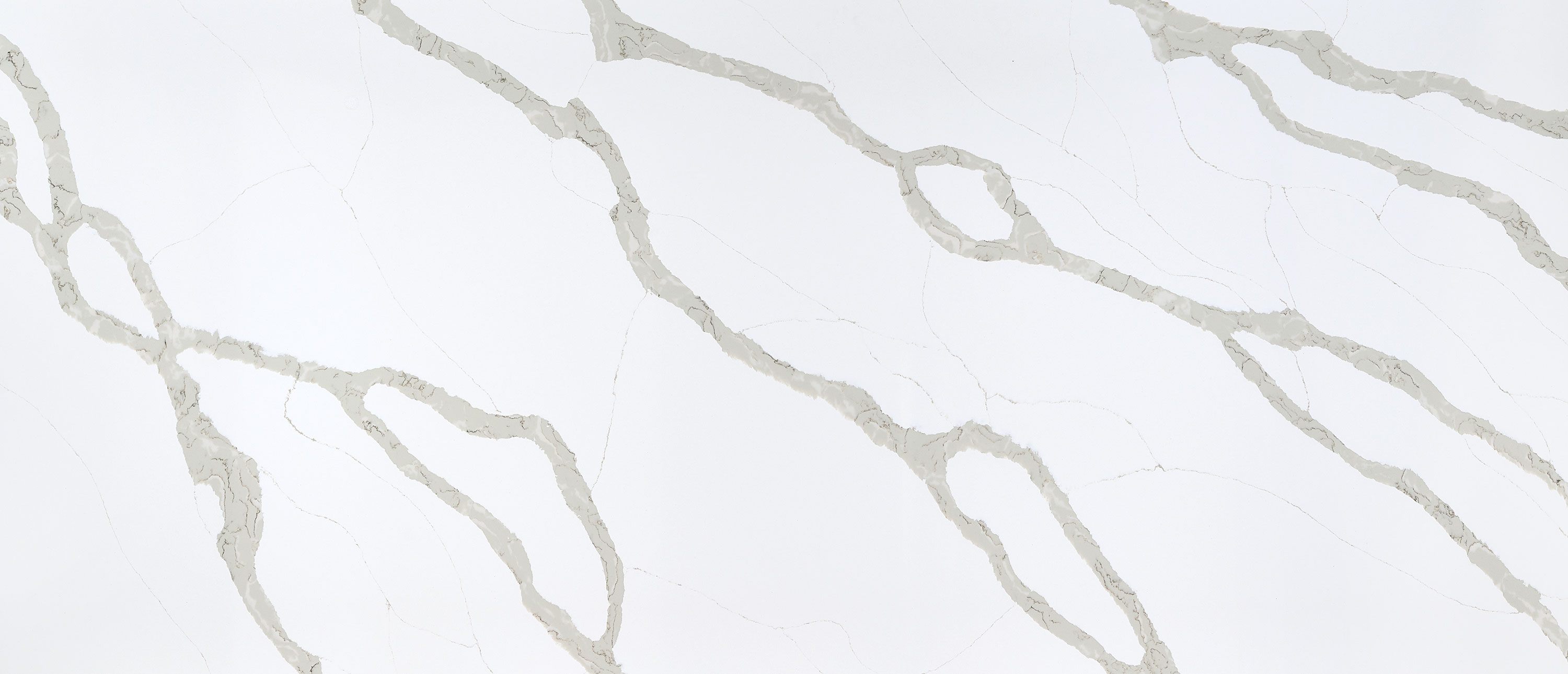 Calacatta Bali countertop