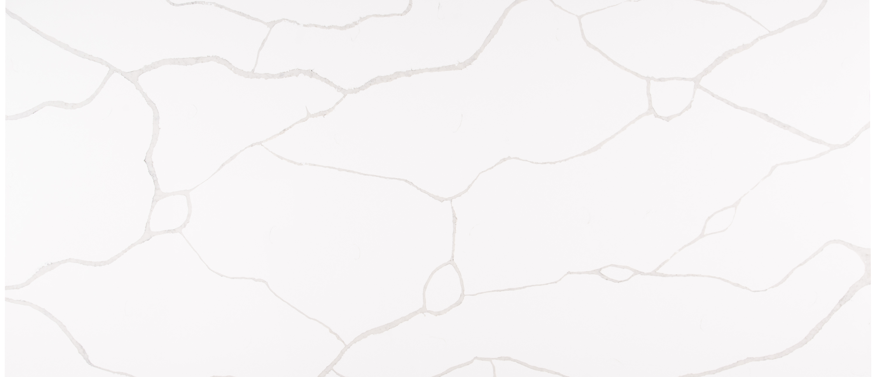 Calacatta Classique countertop
