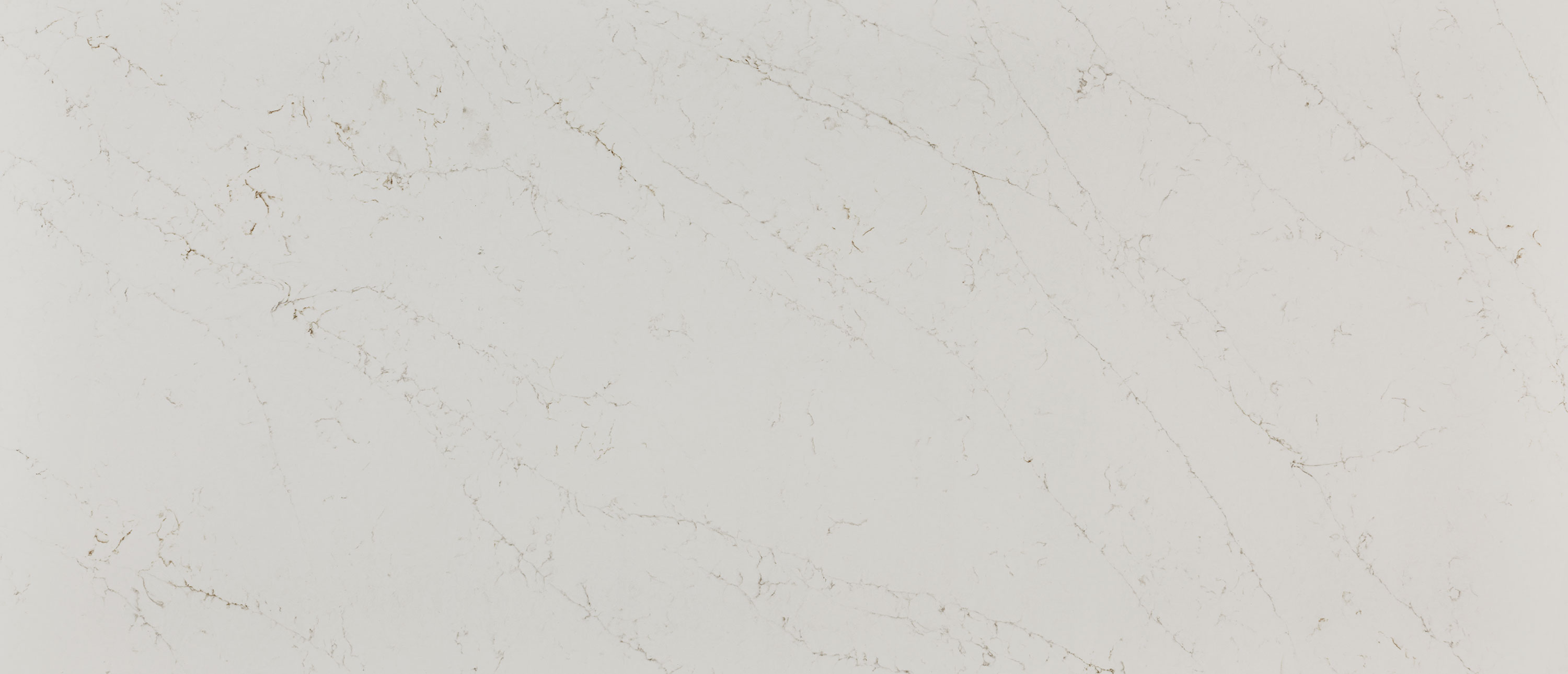 Calacatta Delios countertop