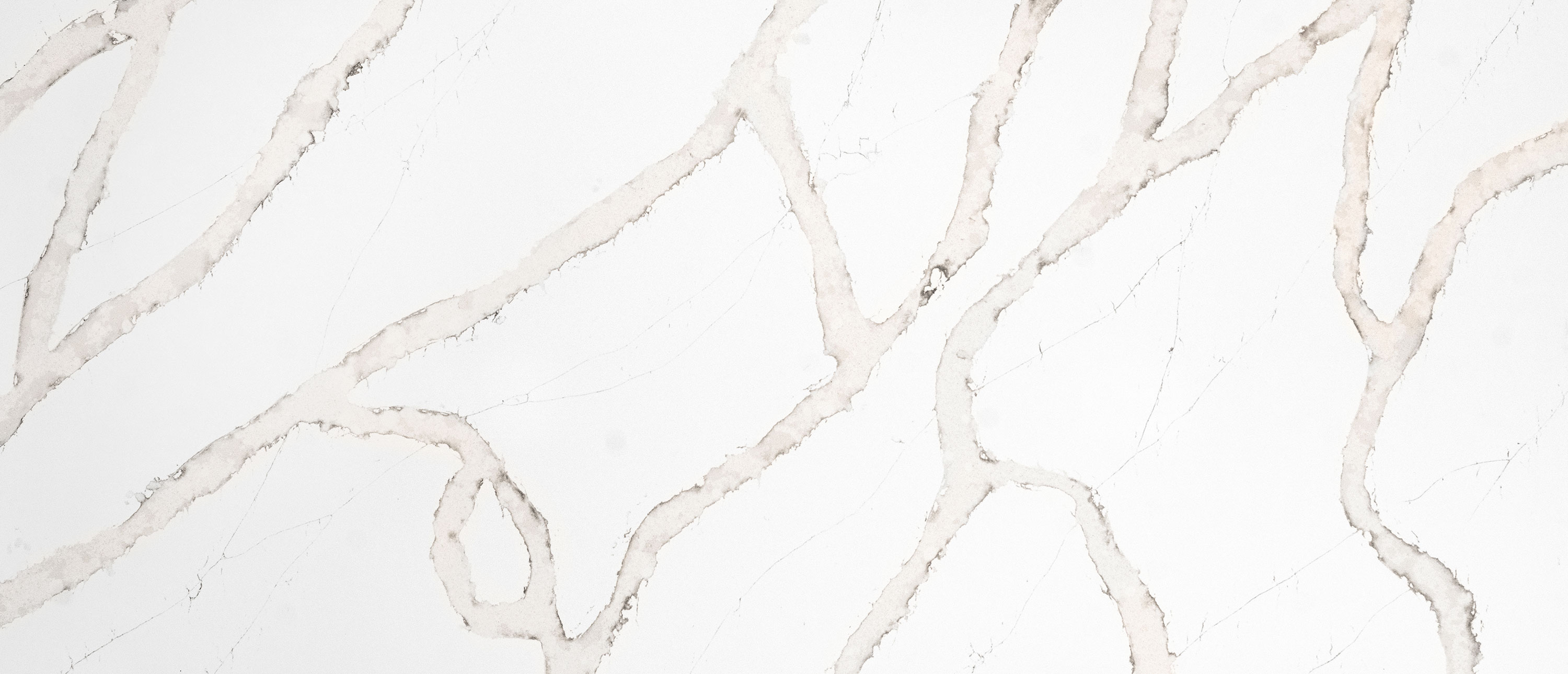 Calacatta Goa countertop