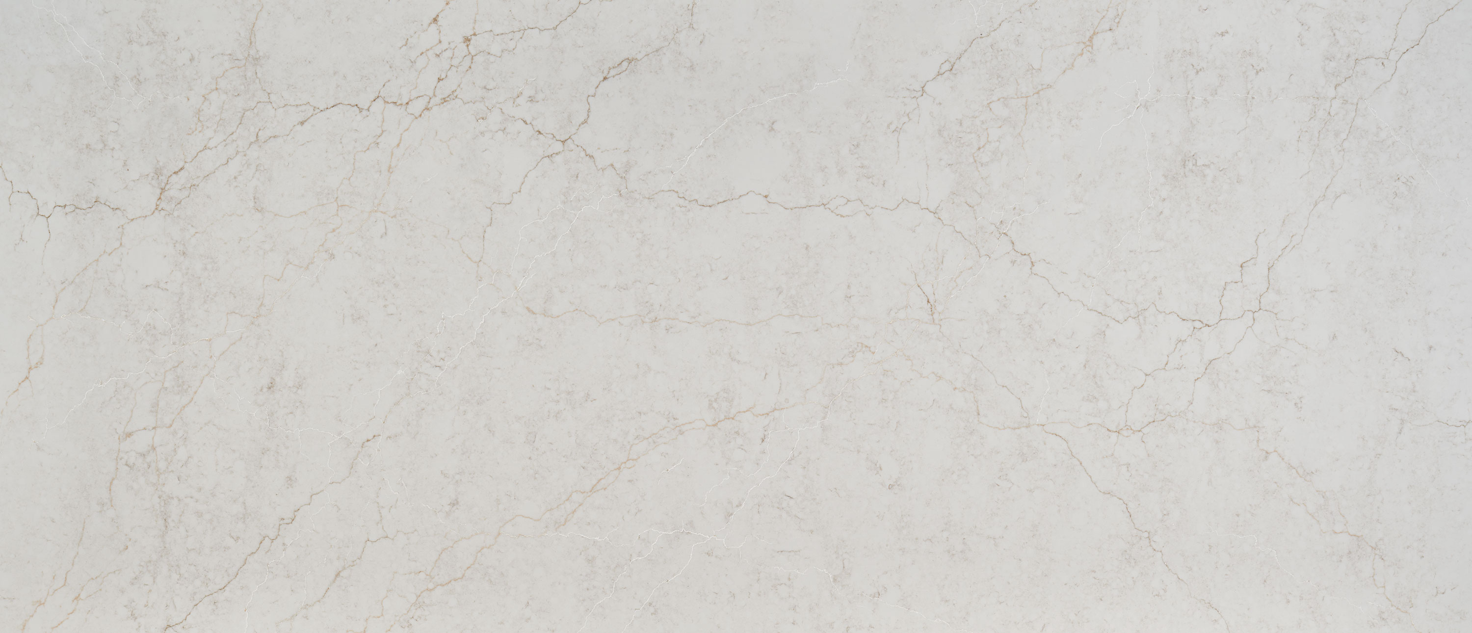 Calacatta Miraggio Cove countertop