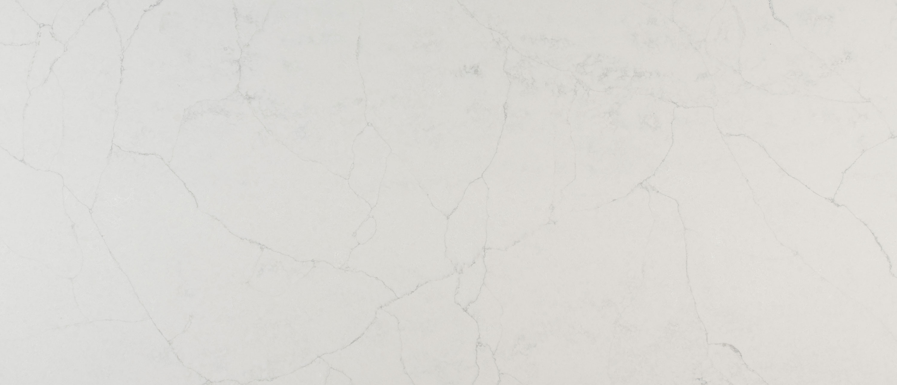 Calacatta Monaco countertop