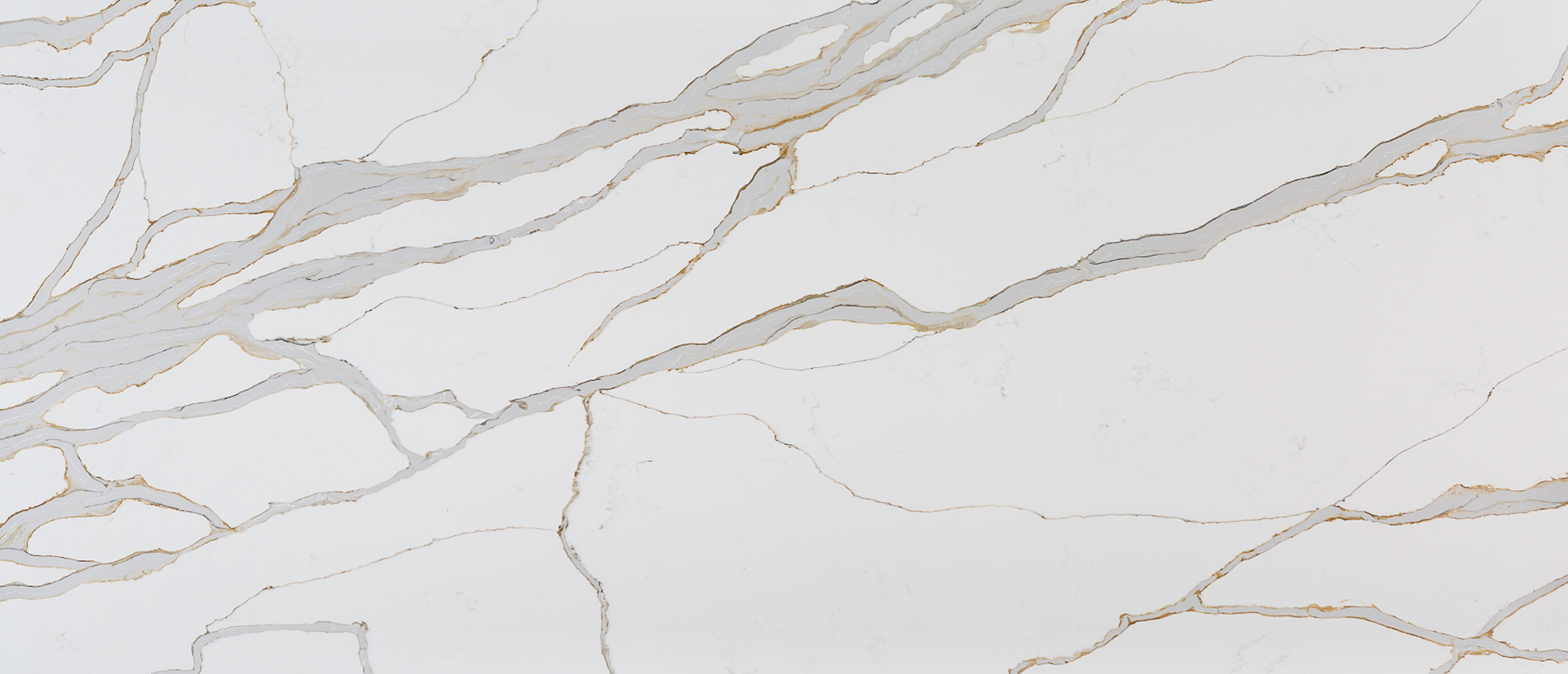 Calacatta Solessio countertop