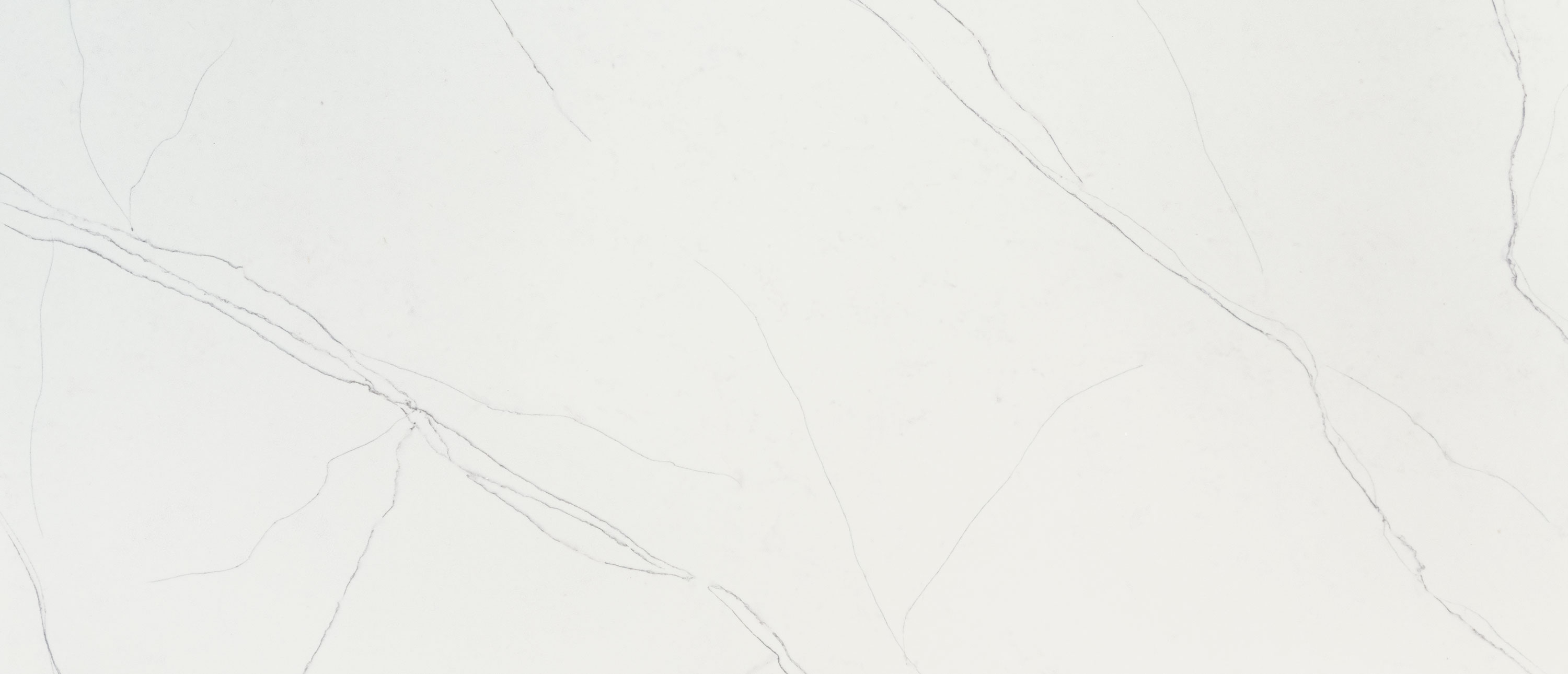 Calacatta Trevi countertop