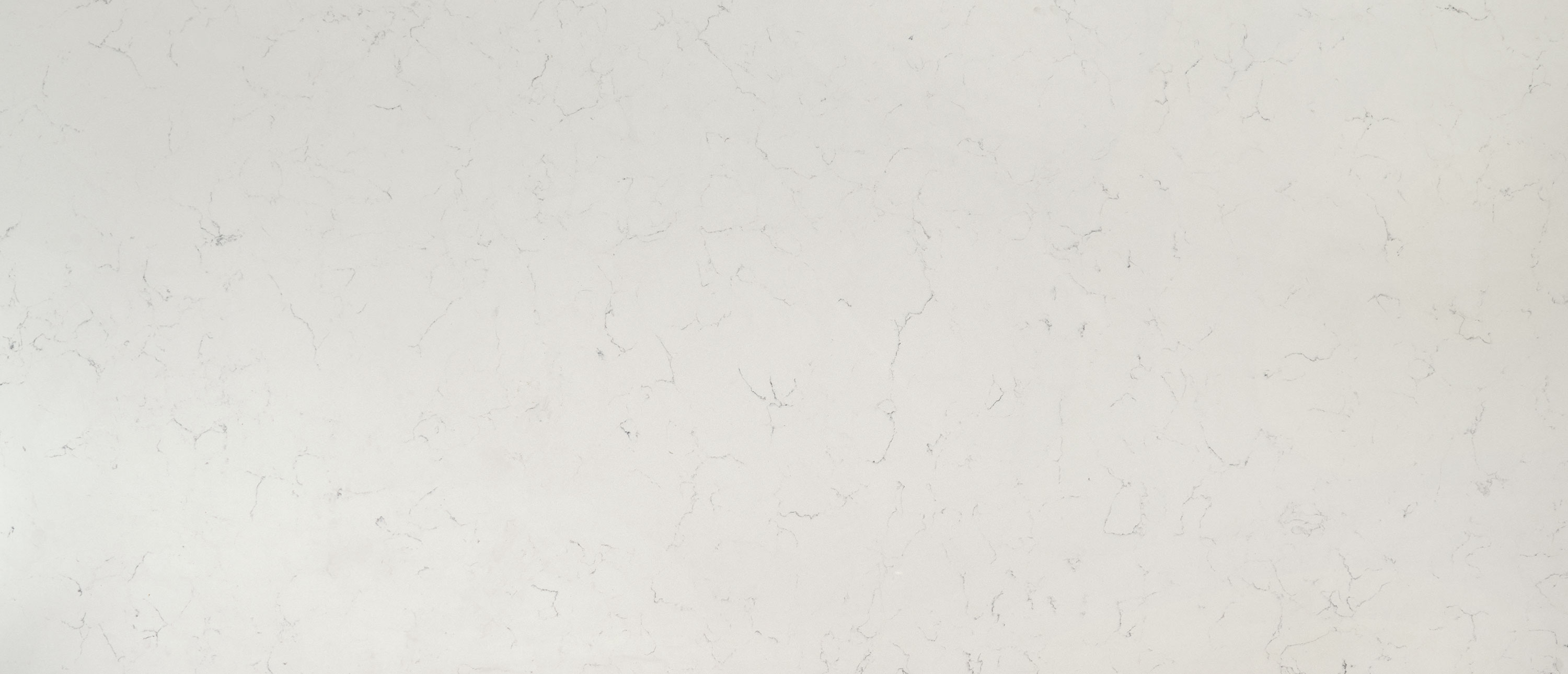 Carrara Delphi countertop