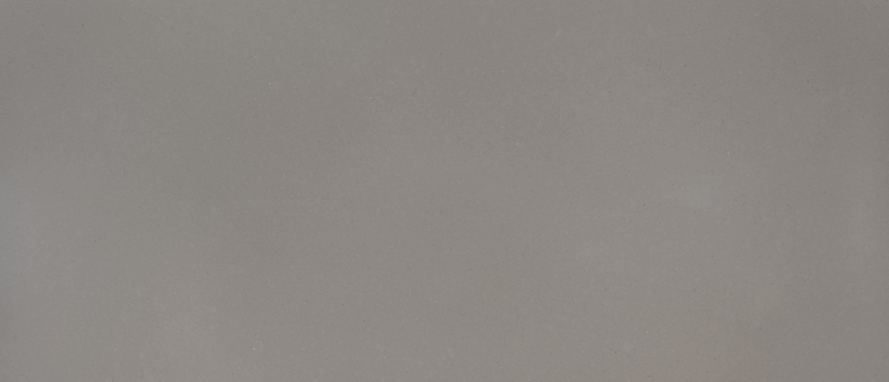 Fossil Gray countertop