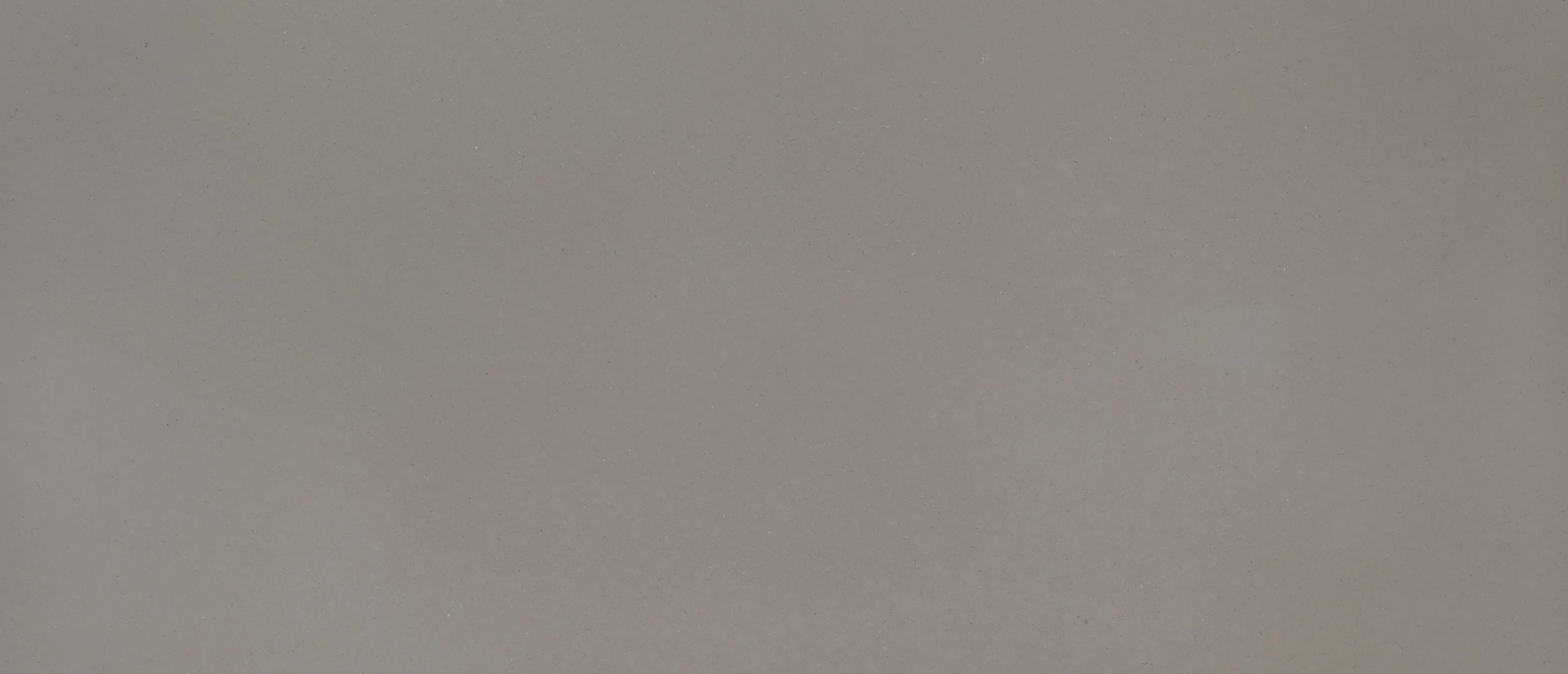 Fossil Gray