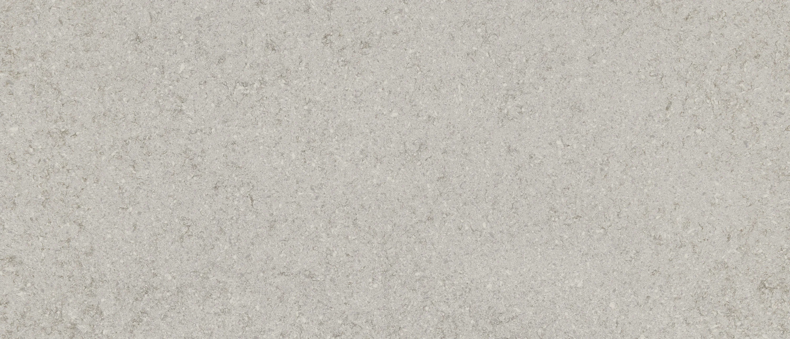 Gray Lagoon