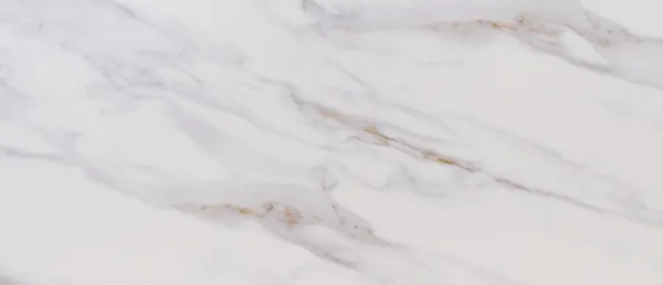 MSI Calacatta Castana quartz