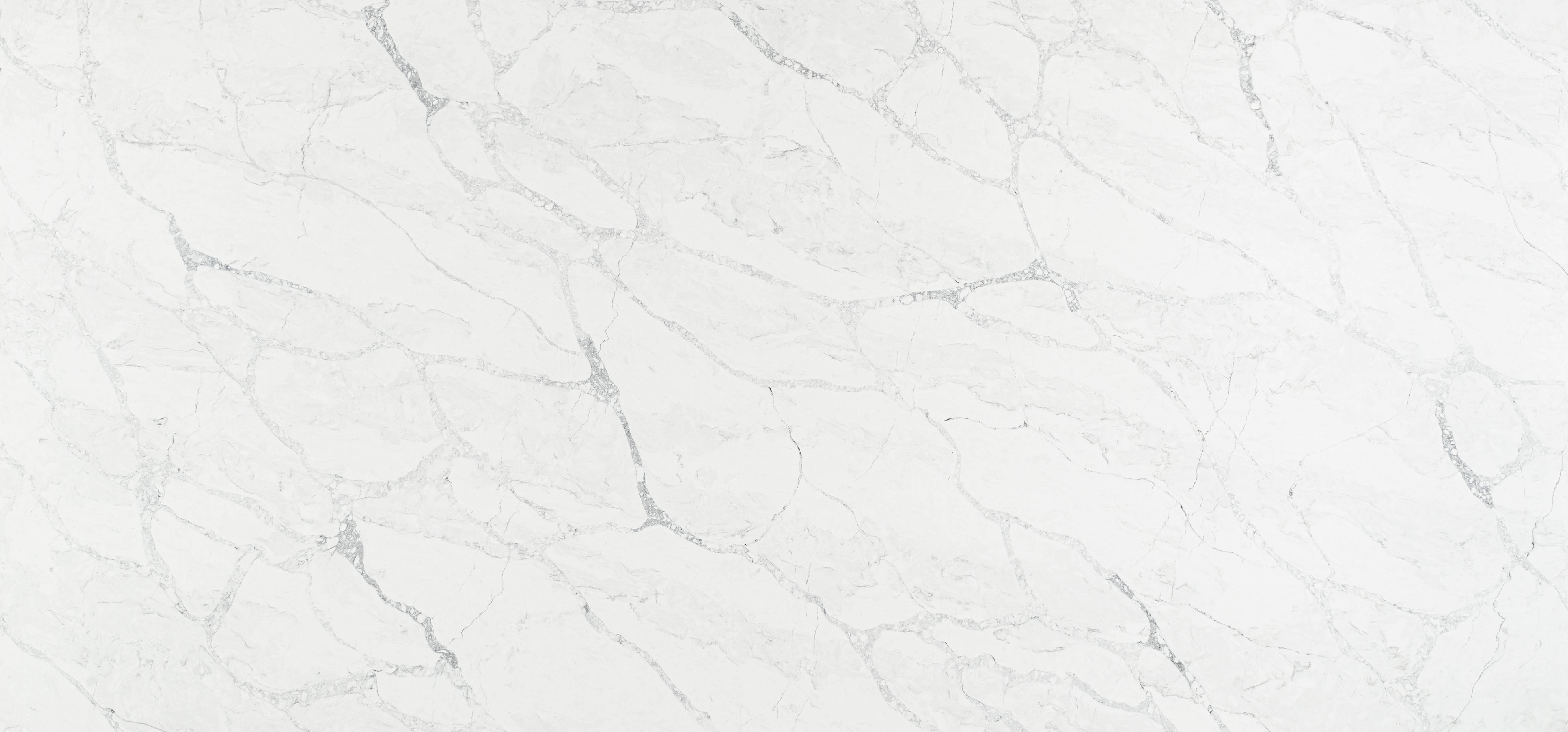 Grey Monet countertop