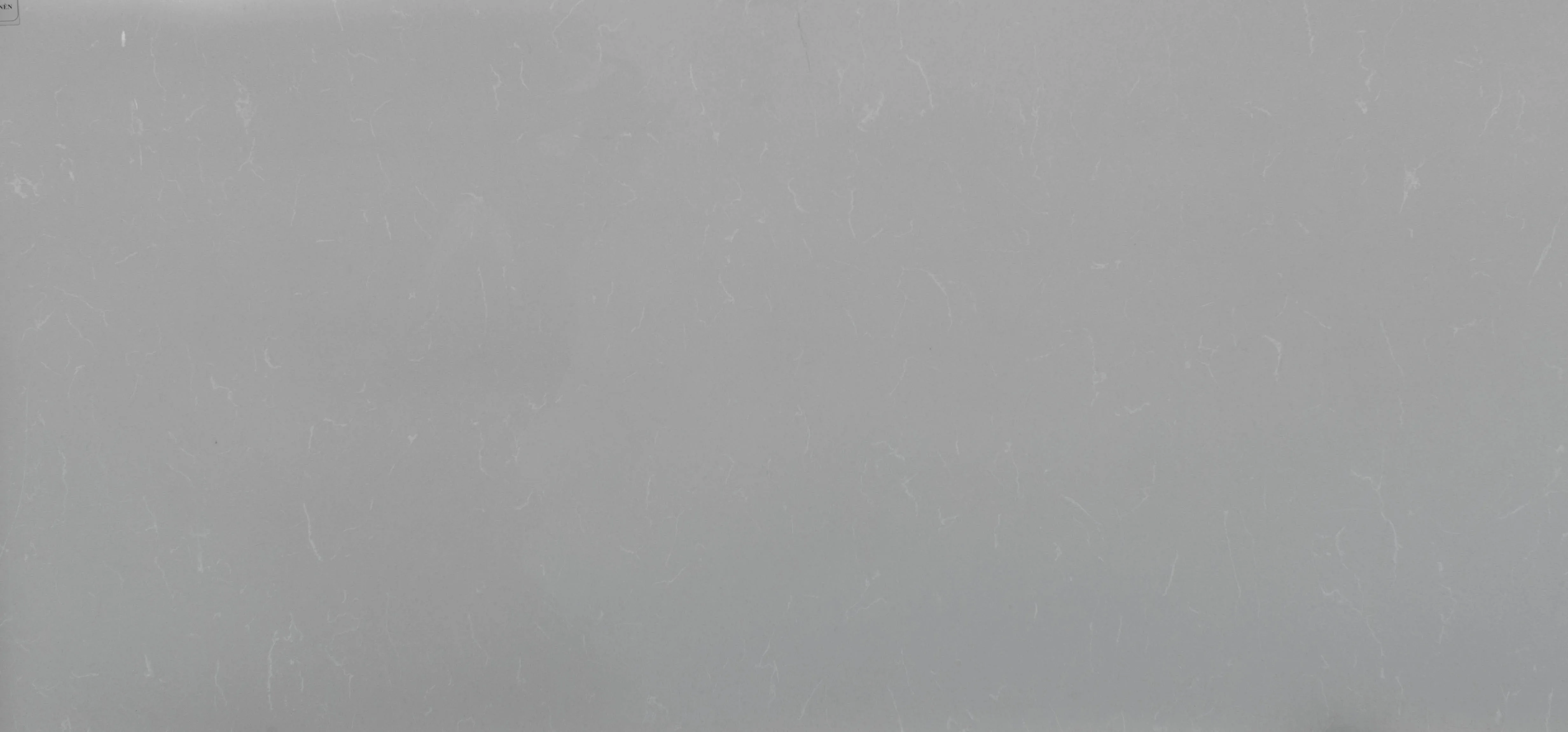 Grey Savoie