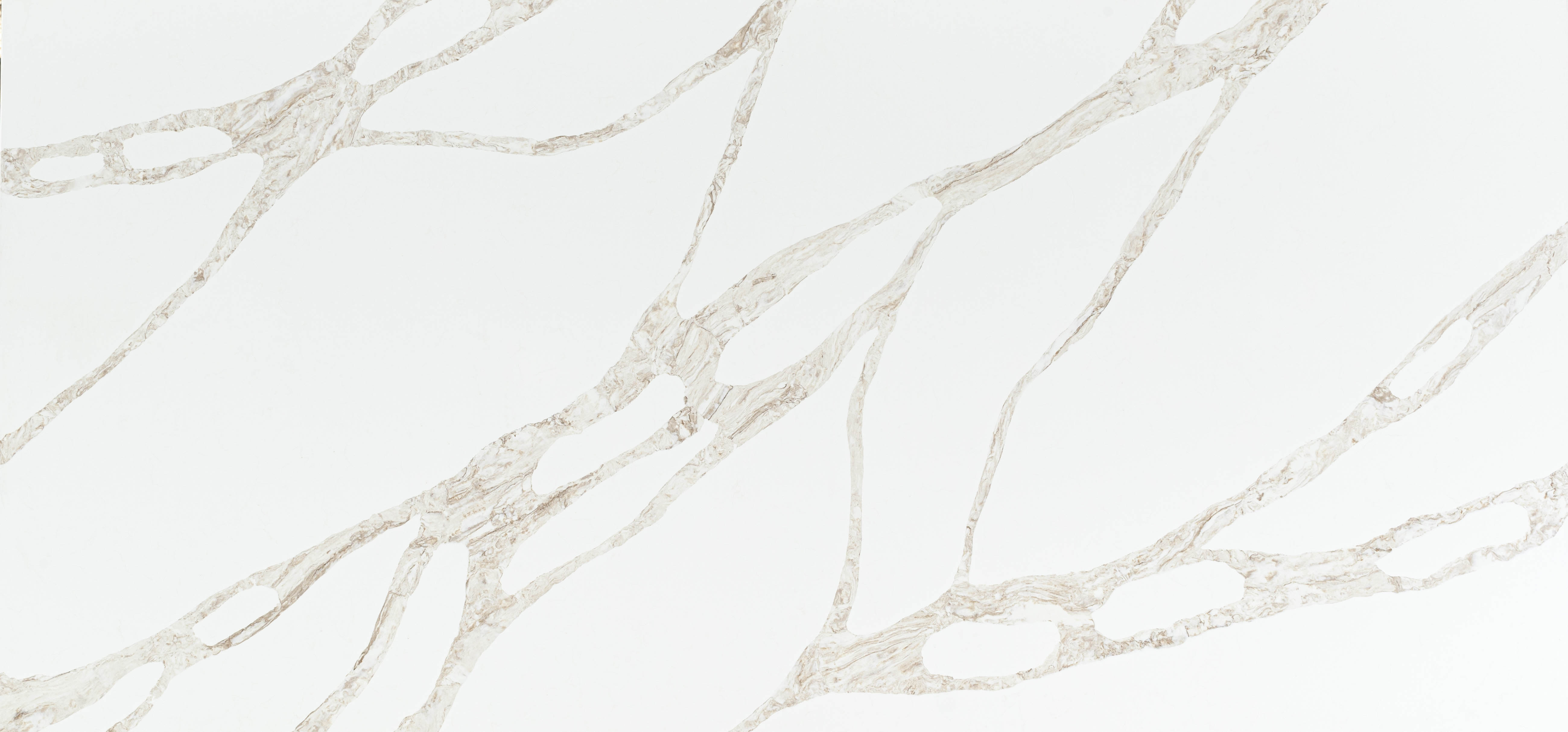 Vivalioro countertop