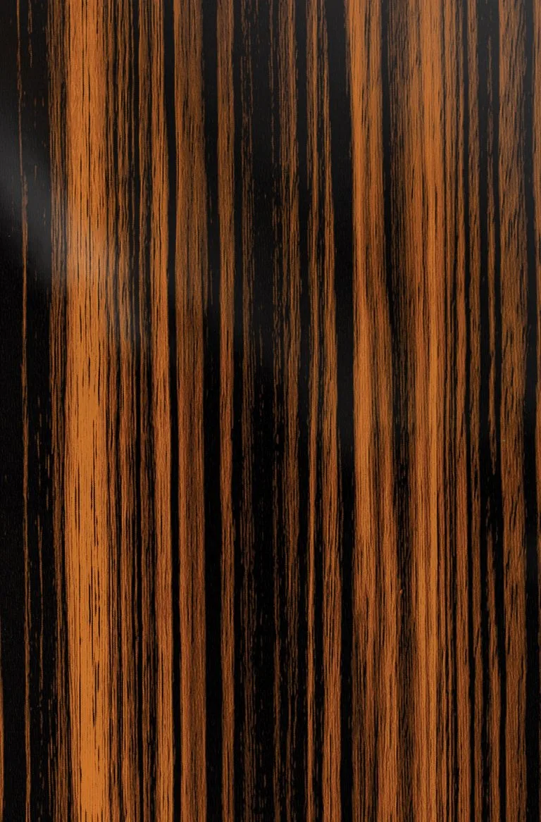 AGT High Gloss Ebony 604 — Yorkville XKitchens