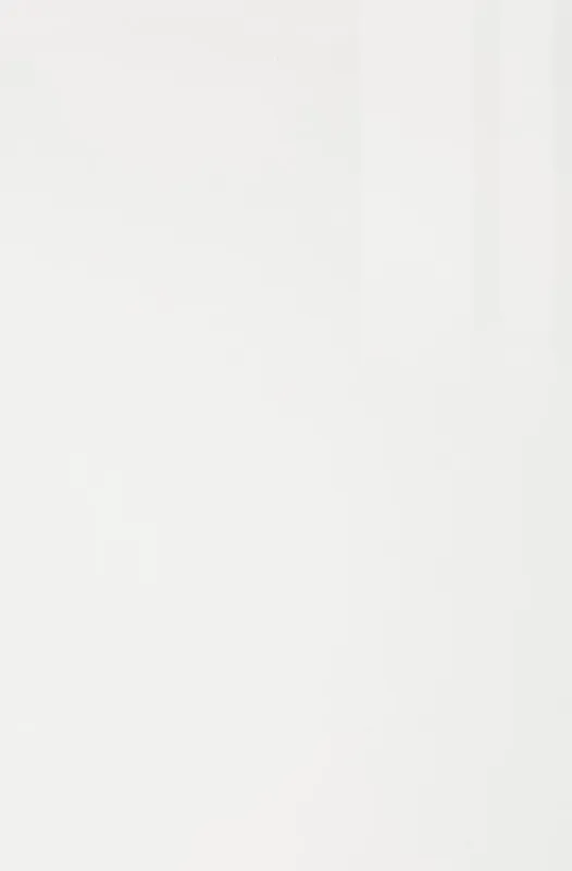 AGT High Gloss White — Yorkville Collection XKitchens