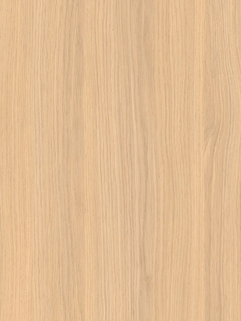 Egger H3152 Bleached Vicenza Oak ST19