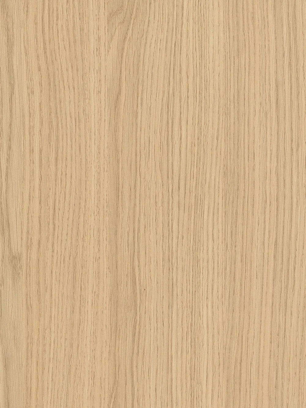 Egger Vicenza Oak Textured — Yorkville Collection XKitchens