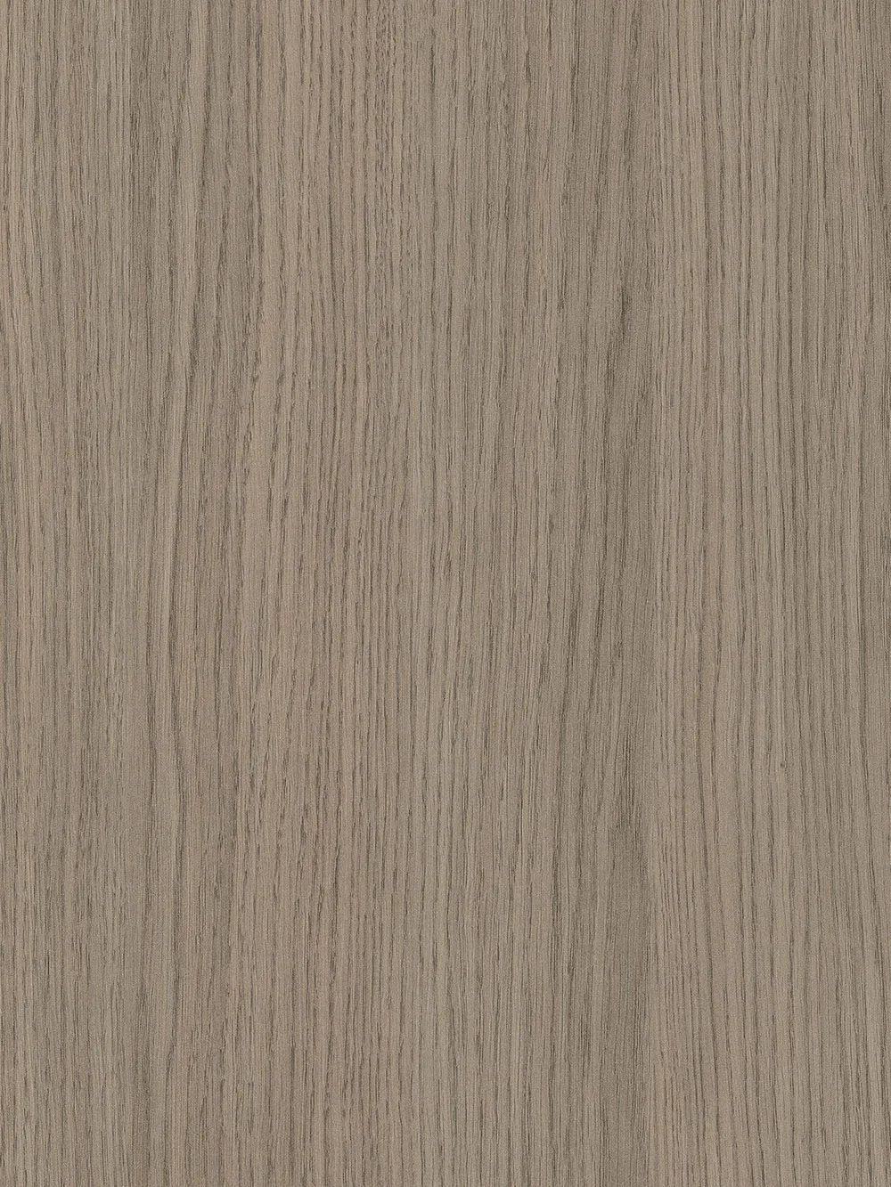 Egger H3158 Grey Vicenza Oak ST12