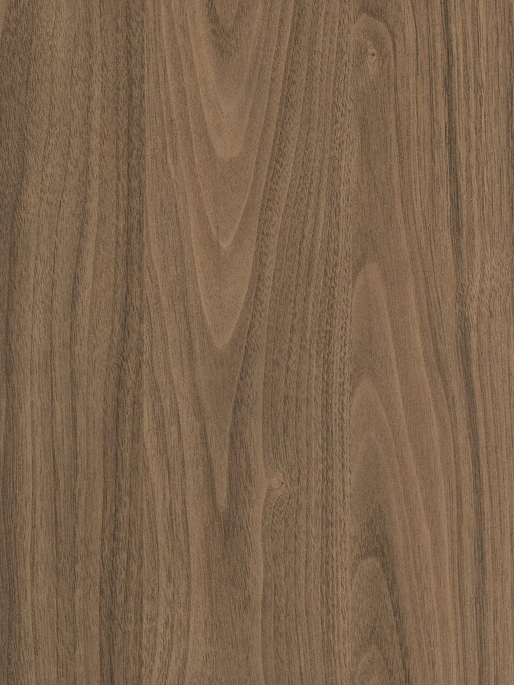 Egger H3710 Natural Carini Walnut ST12