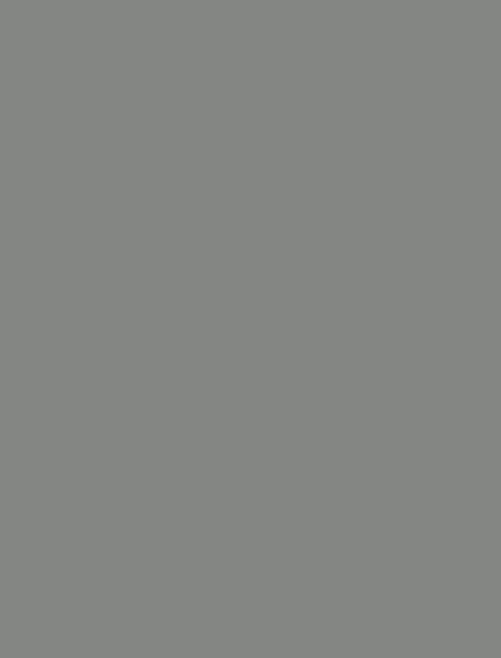 Egger U732 Dust Grey ST9 — Yorkville XKitchens